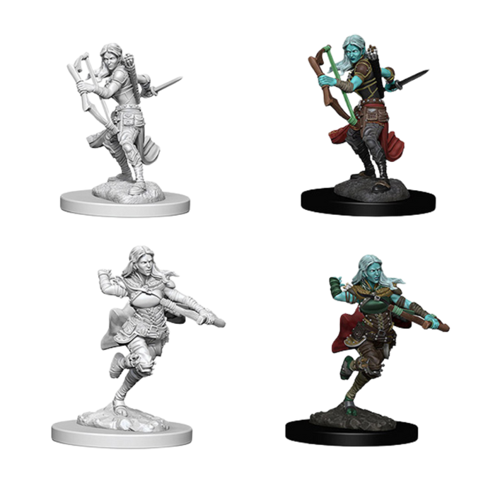 DND Nolzur's Marvelous Unpainted Miniatures W04 Air Genasi Rogue Female