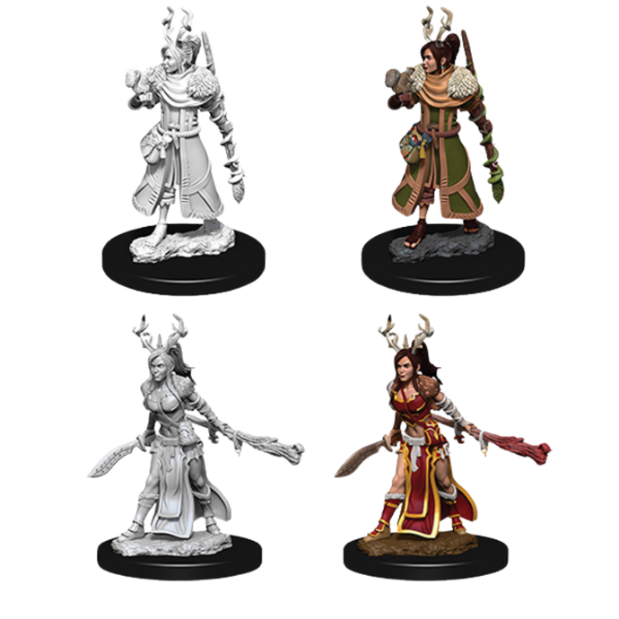DND Nolzur's Marvelous Unpainted Miniatures W09 Human Druid Female