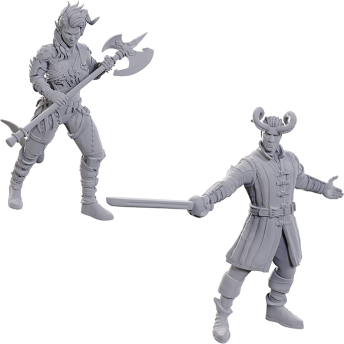 DND Nolzur's Marvelous Miniatures: Special Edition Baldur's Gate 3 - Wyll & Karlach