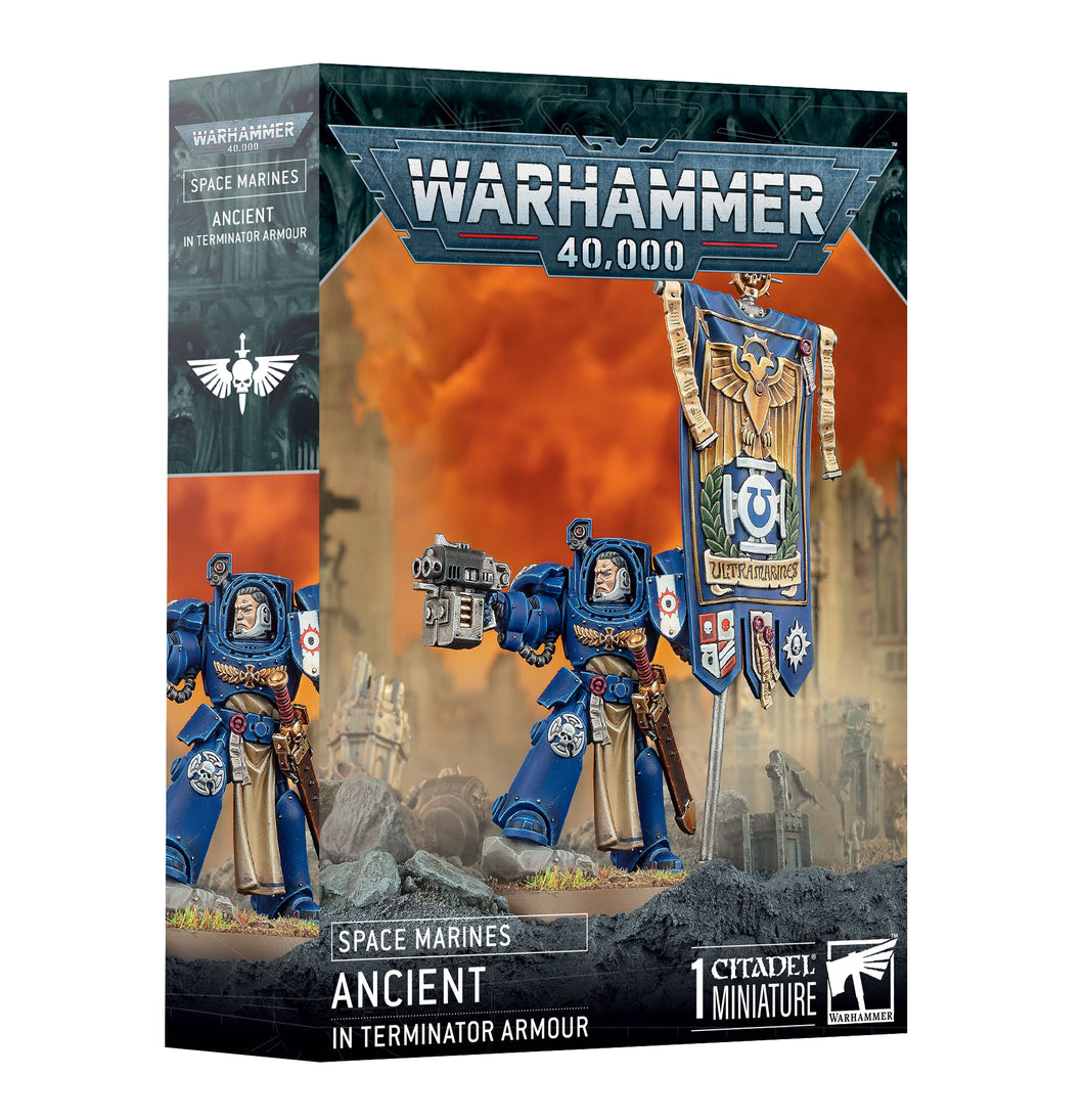 Warhammer 40k Space Marines Ancient in Terminator Armour