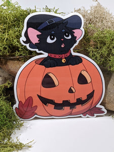 Sticker: Halloween Pumpkin Witch Kitten