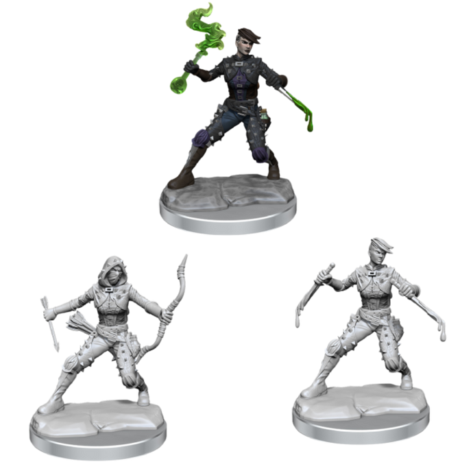 DND Frameworks W1 Human Rogue Female