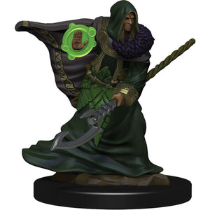 DND Icons of the Realms Premium Figures W05 Elf Druid Male
